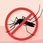 Mosquito Protection