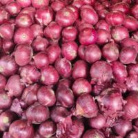 onion 1 kg