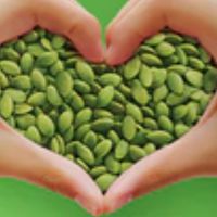 Premium Pumpkin Seeds 200g